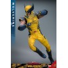 Deadpool and Wolverine Movie - Movie Masterpiece Wolverine 1/6 31cm