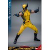 Deadpool and Wolverine Movie - Movie Masterpiece Wolverine 1/6 31cm