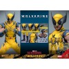 Deadpool and Wolverine Movie - Movie Masterpiece Wolverine 1/6 31cm