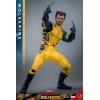 Deadpool and Wolverine Movie - Movie Masterpiece Wolverine Deluxe Version 1/6 31cm