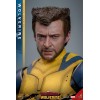 Deadpool and Wolverine Movie - Movie Masterpiece Wolverine Deluxe Version 1/6 31cm