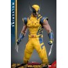 Deadpool and Wolverine Movie - Movie Masterpiece Wolverine Deluxe Version 1/6 31cm