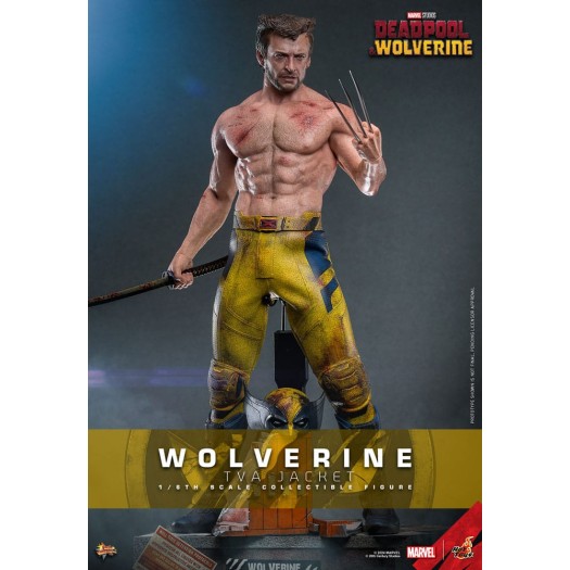 Deadpool and Wolverine Movie - Movie Masterpiece Wolverine (TVA Jacket Version) 1/6 31cm