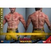 Deadpool and Wolverine Movie - Movie Masterpiece Wolverine (TVA Jacket Version) 1/6 31cm