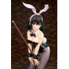 Strike the Blood - Himeragi Yukina 1/7 Bunny Girl Style 25cm (EU)