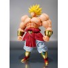 Dragon Ball Z - S.H. Figuarts Broly 40th Anniversary Edition 22cm Tamashii Web Exclusive