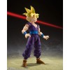 Dragon Ball Z - S.H. Figuarts Super Saiyan Son Gohan - The Warrior Who Surpassed Goku 11cm (EU)